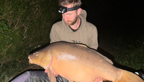 A carp from La Fonte, Jul 2026