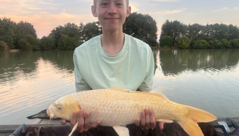 A carp from Landes, Aug 2026