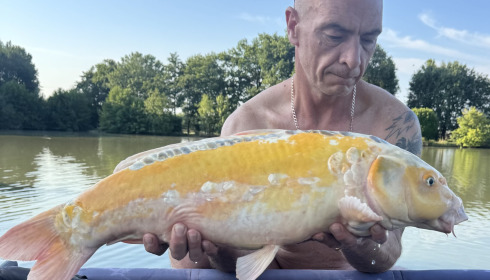 A 18 lb 8 oz carp from Landes, Lovely koi, Jul 2026