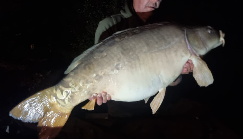 A 46 lb 2 oz carp from Landes, Mirror, Oct 2026