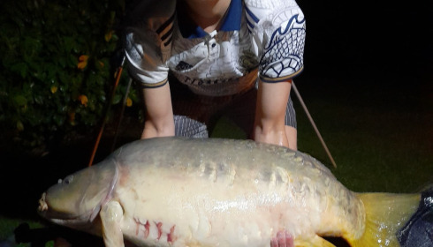 A 53 lb carp from Landes, May 2026