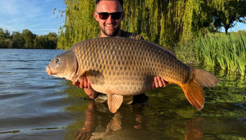 A carp from Seigneurie, Apr 2026