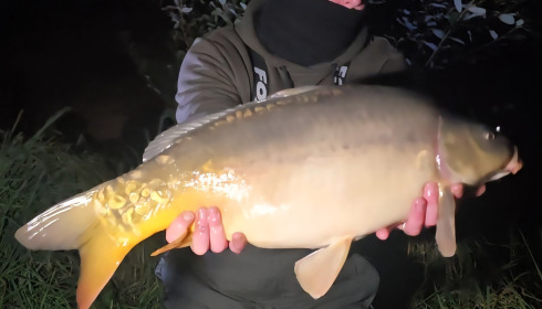 A carp from Seigneurie, Oct 2025