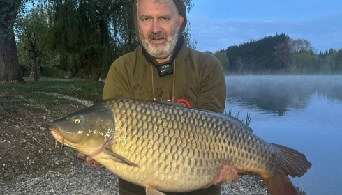 Gallery item 7