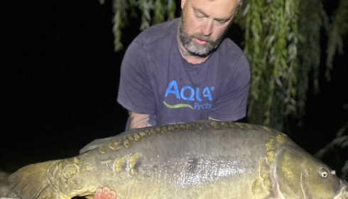 A 36 lb carp from Seigneurie, A very nice mirror gave a very good account of itself in the deep margins, Sep 2026