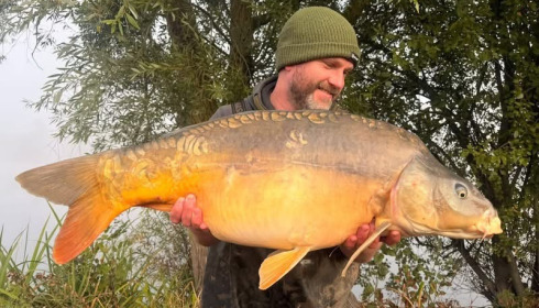 A carp from Seigneurie, Oct 2026