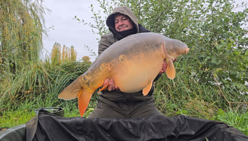 A carp from Seigneurie, Oct 2025