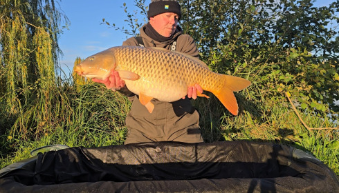 A carp from Seigneurie, Oct 2025