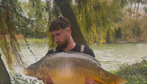 A carp from Seigneurie, Oct 2025