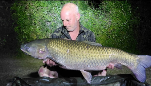 A carp from Lepinet North, May 2026
