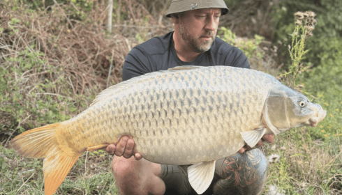 A 31 lb 4 oz carp from Lepinet North, Ghost common, Aug 2026