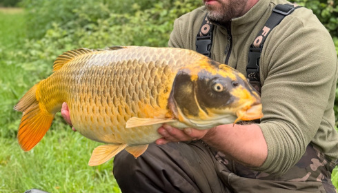 A carp from Lepinet South, benjamin clarke, May 2026