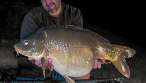 A carp from Lepinet South, May 2026