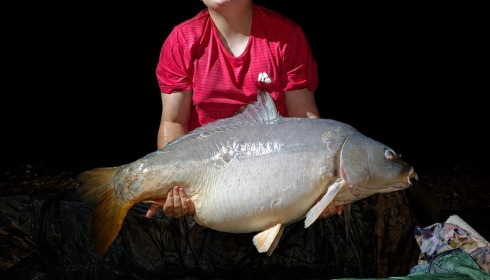 A 50 lb 15 oz carp from Lepinet South, May 2026