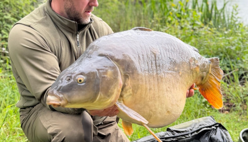 A carp from Lepinet South, benjamin clarck, May 2026