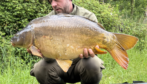 A carp from Lepinet South, May 2026