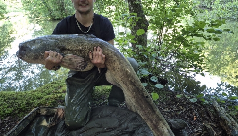 A 68 lb catfish from Cailleaux, George in the jungle, Jun 2026