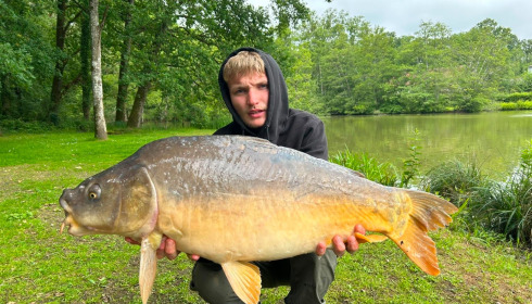 A carp from Cailleaux, Jun 2026