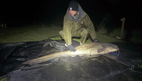 A 78 lb 6 oz catfish from Cailleaux, Adam Mayer, Apr 2026
