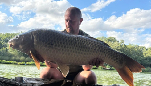 A carp from Cailleaux, Aug 2026