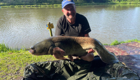 A catfish from Cailleaux, May 2026