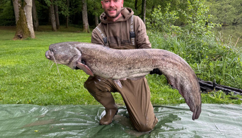 A catfish from Cailleaux, May 2026