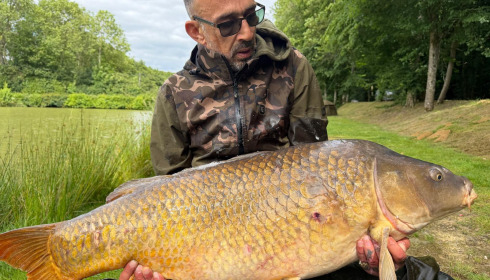 A carp from Cailleaux, Jun 2026