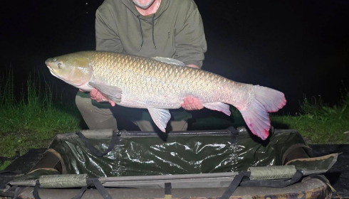 A carp from Cailleaux, May 2026