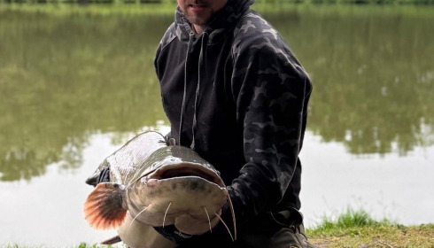 A catfish from Cailleaux, May 2026