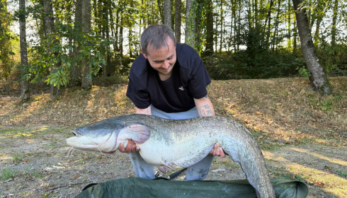 A 88 lb 9 oz catfish from Cailleaux, Aug 2026