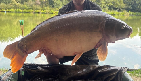 A carp from Cailleaux, Aug 2026