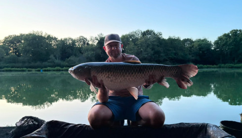 A carp from Cailleaux, Jun 2026