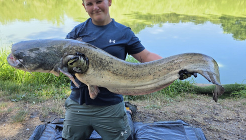 A carp from Cailleaux, Aug 2026