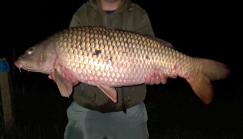 A carp from Cailleaux, Aug 2026