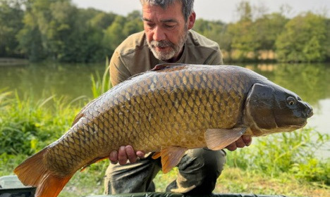 A carp from Autels, Jul 2026