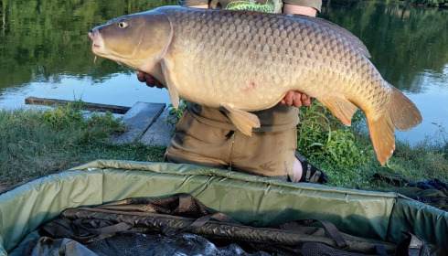 A carp from Autels, Jul 2026