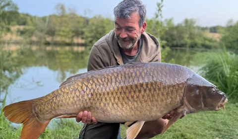 A carp from Autels, Jul 2026