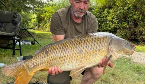 A carp from Autels, Jul 2026