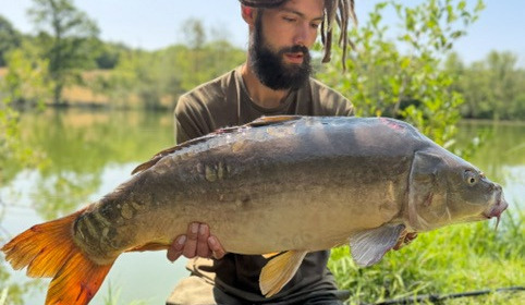A carp from Autels, Jul 2026