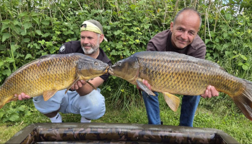 A carp from Autels, May 2026