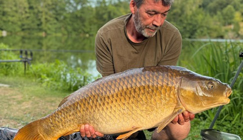 A carp from Autels, Jul 2026