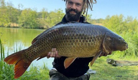 A carp from Autels, Jul 2026
