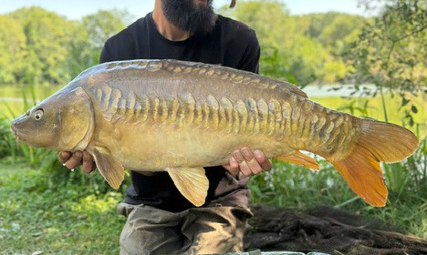 A carp from Autels, Jul 2026