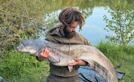 A carp from Autels, Jul 2026