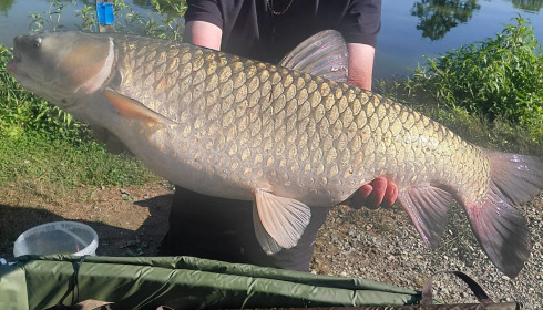 A carp from Autels, Jul 2026