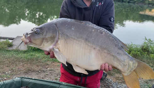 A carp from Autels, Jul 2026