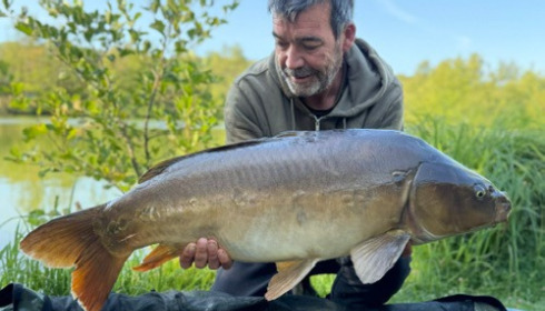 A carp from Autels, Jul 2026
