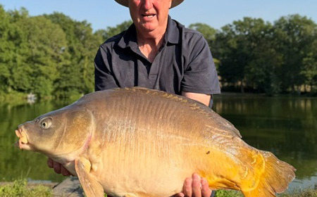 A carp from Autels, Jul 2026
