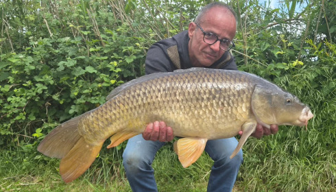 A carp from Autels, May 2026
