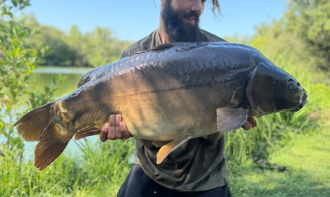 A carp from Autels, Jul 2026